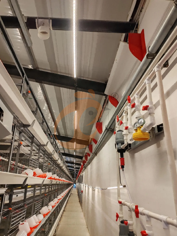 broiler battery cage (20) Manual Broiler Harvest Automatic H Frame Broiler Battery Cage System