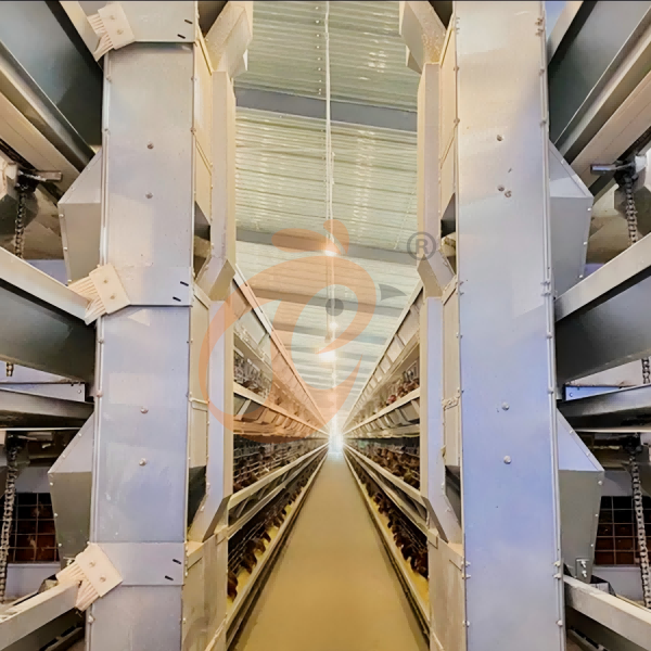 broiler battery cage (26) Manual Broiler Harvest Automatic H Frame Broiler Battery Cage System