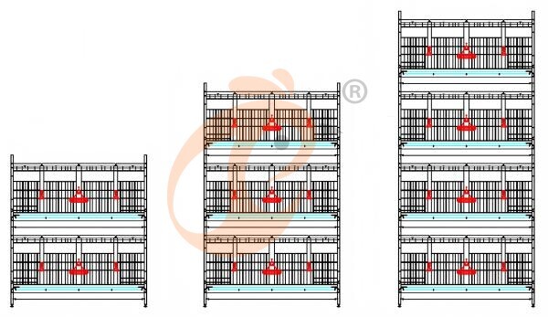 Automatic Broiler Chain Type Harvest, Automatic H Frame Broiler Battery Cage System