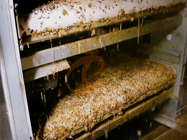 broiler chicken cage (8)