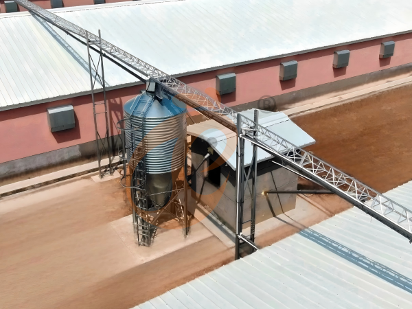 Semi Automatic Broiler Pull-out Slat Type Harvest, Automatic H Frame Broiler Battery Cage System
