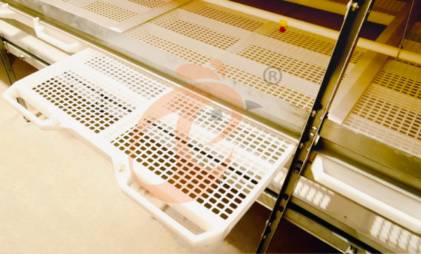 Semi Automatic Broiler Pull-out Slat Type Harvest, Automatic H Frame Broiler Battery Cage System