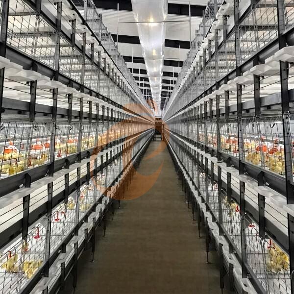 Semi Automatic Broiler Pull-out Slat Type Harvest, Automatic H Frame Broiler Battery Cage System