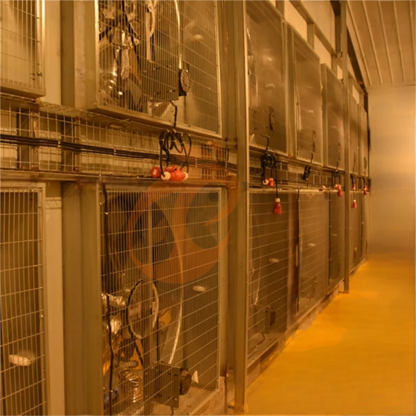 Semi Automatic Broiler Pull-out Slat Type Harvest, Automatic H Frame Broiler Battery Cage System