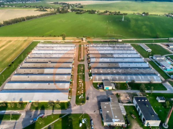 Steps To Start 300,000 To 1,000,000+ Layers Poultry Farm