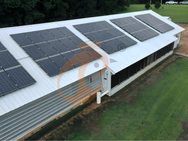 layer poultry farm 1 (7)(1) Steps To Start 10,000 To 30,000 Layers Poultry Farm