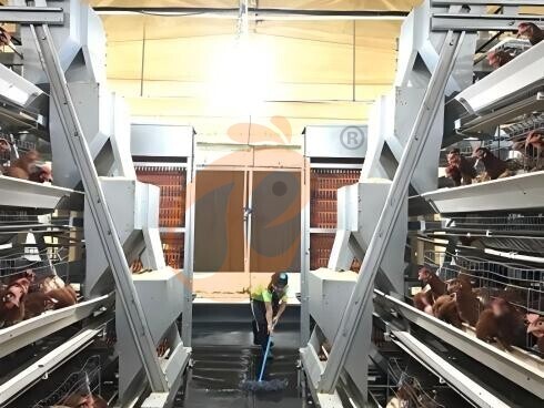 battery cage price (3) Battery Cage And Price For Layer And Broilers