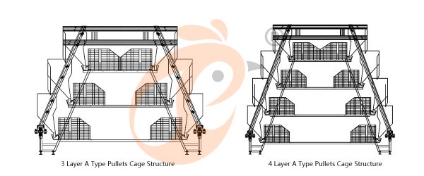 battery cage types (1) Battery Cage Types And Dimensions
