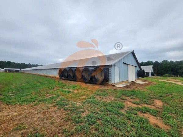 poultry farm (9) poultry farm (9)