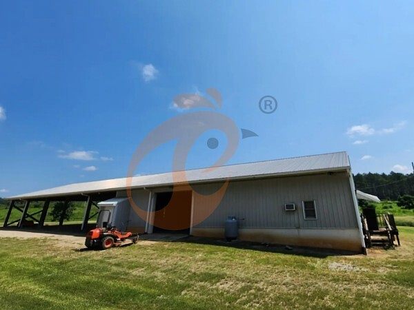 poultry farm (14) poultry farm (14)