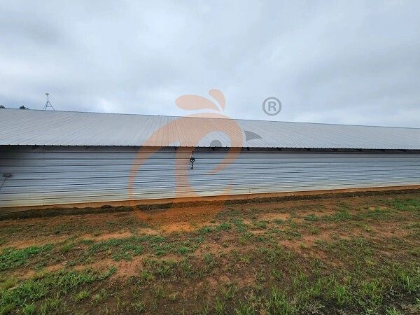 poultry farm (4) poultry farm (4)