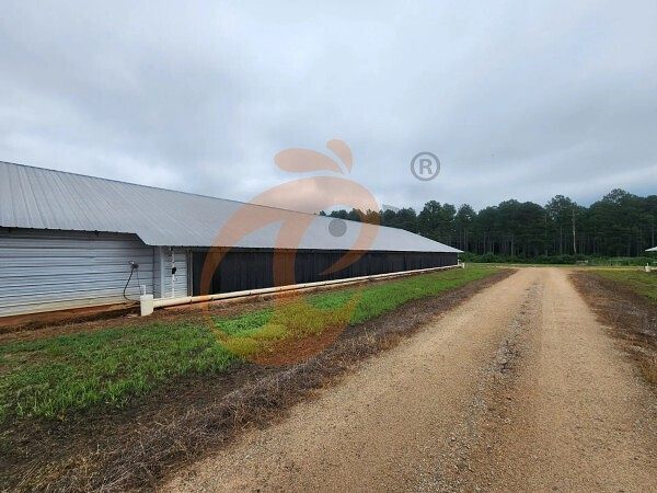 poultry farm (3) poultry farm (3)