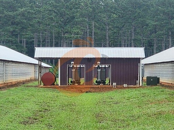 poultry farm (8) poultry farm (8)