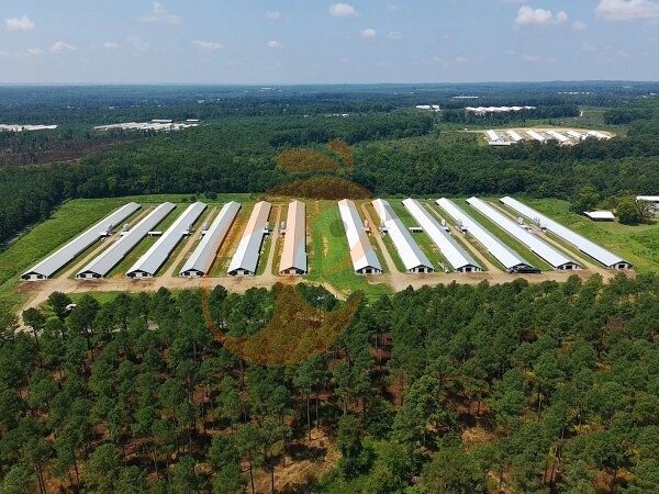poultry farm (1) poultry farm (1)