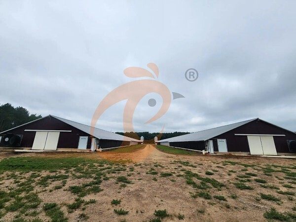 poultry farm (2) poultry farm (2)