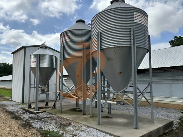 How Durable H Type Chicken Cages Lower Long-Term Farm Expenses In Nigeria