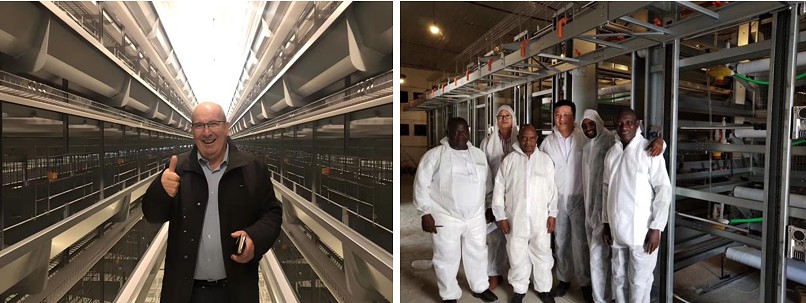 Nigeria poultry battery cage (3).png