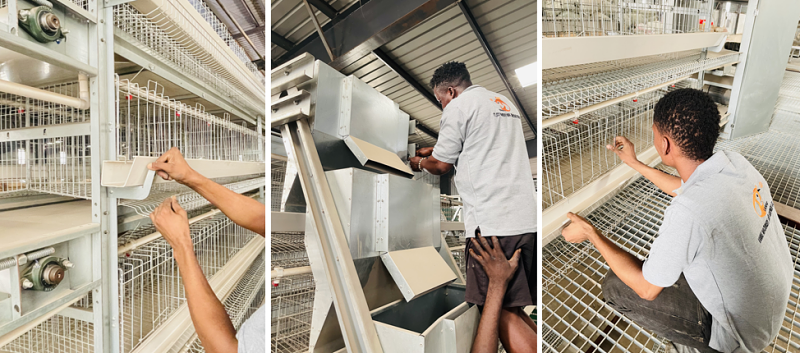 chicken cage 3 (2).png