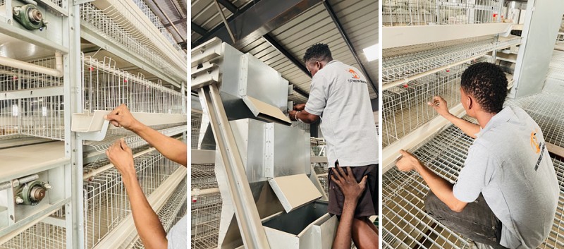 chicken cage 3 (2).png
