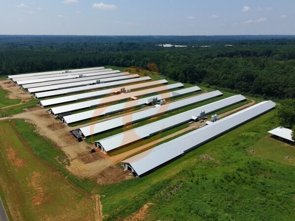 poultry farm (9)