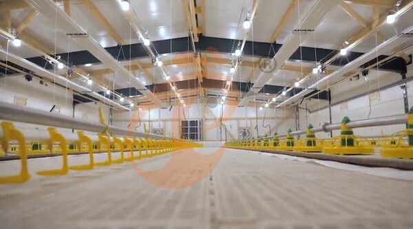 Broiler Slatted Floor System
