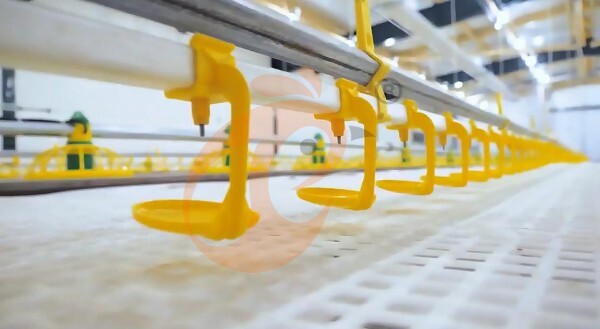 Broiler Slatted Floor System