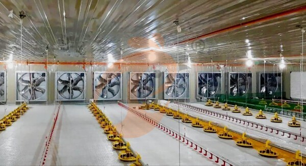 Broiler Slatted Floor System