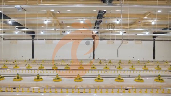 Broiler Slatted Floor System