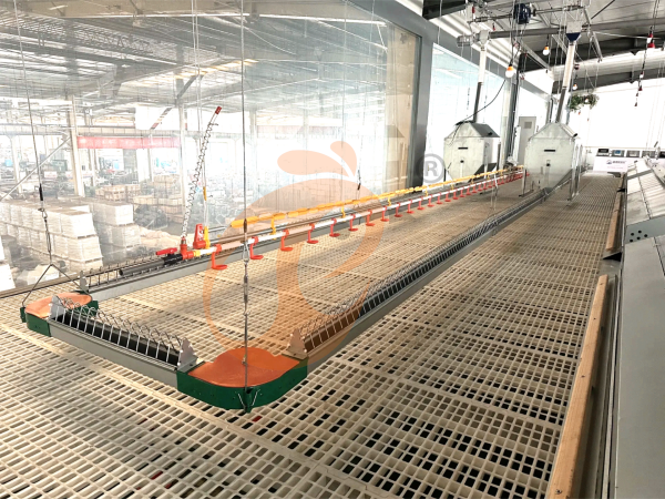poultry slatted floor system (1) Brooder Slatted Floor System