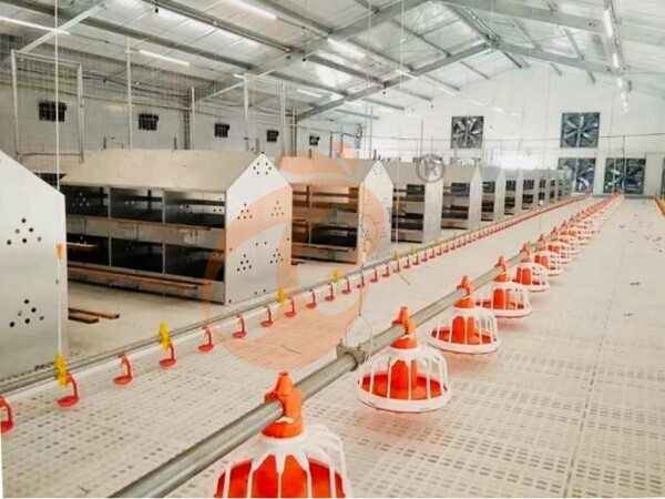poultry slatted floor system (10) Brooder Slatted Floor System