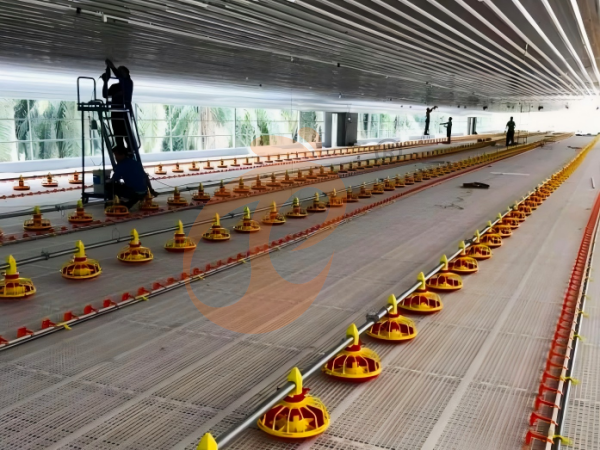 poultry slatted floor system (3) Brooder Slatted Floor System