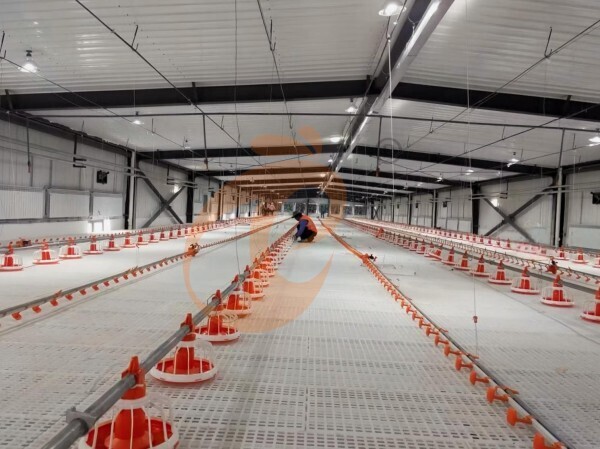 poultry slatted floor system (5) Brooder Slatted Floor System