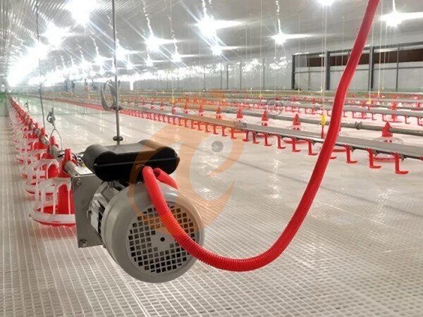 poultry slatted floor system (6) Brooder Slatted Floor System
