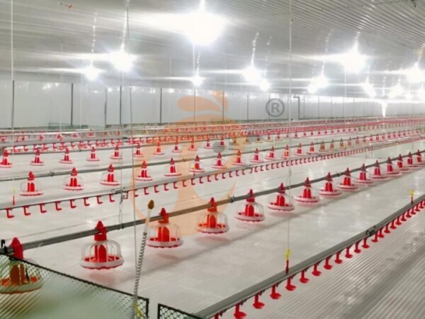 poultry slatted floor system (8) Brooder Slatted Floor System