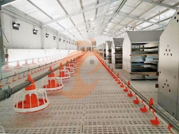 poultry slatted floor system (9) Brooder Slatted Floor System
