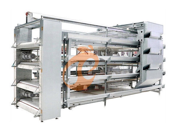 Day Old Chicken Cage Design (12)