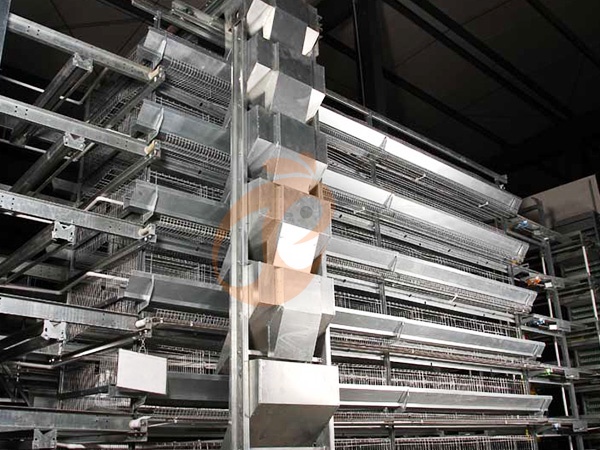 Feed System1 (7)