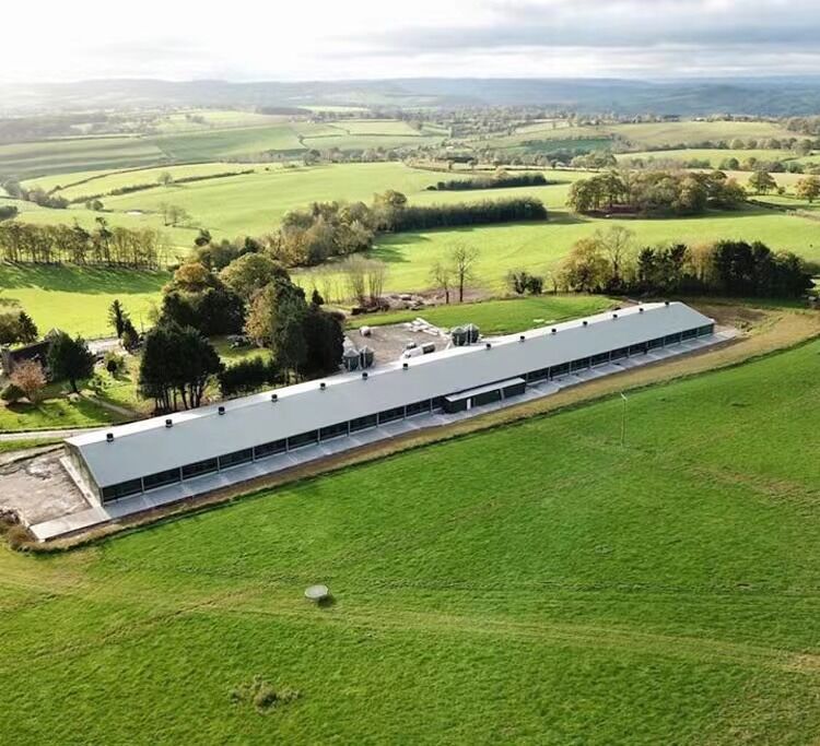 Best finished 1,800 units of layer battery cage for 20,520 layers poultry farm