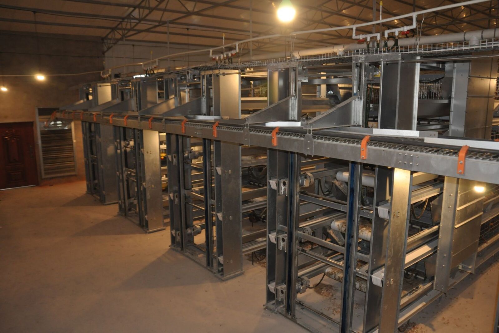 Luoto finished layer project of 34,000 birds with automatic layer chicken cage