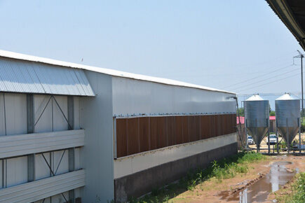 Luoto finished layer project of 49,280 laying hens breeding with chicken cage system