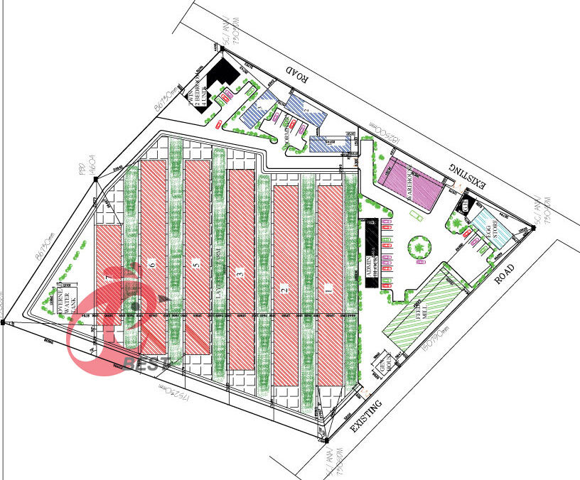 Luoto finished layer project of 100,000 birds in West Africa poultry farm