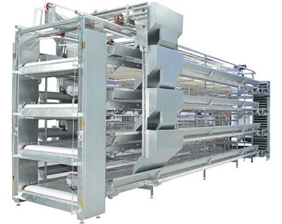 What is the differences between layer battery cage and broiler cage