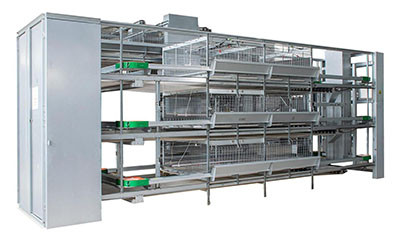 What is the differences between layer battery cage What is the differences between layer battery cage and broiler cage