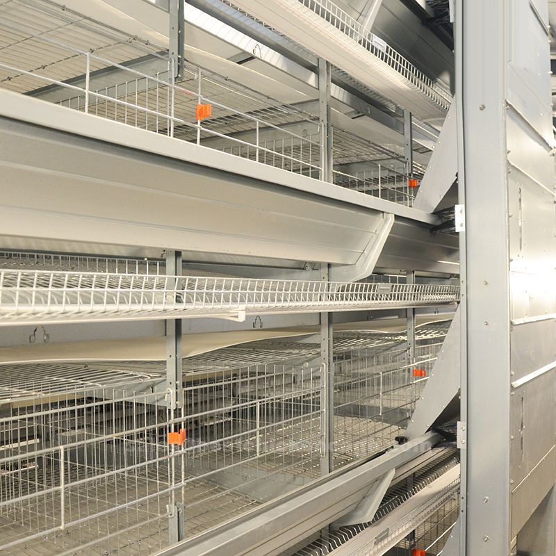 What is the battery cage layout design