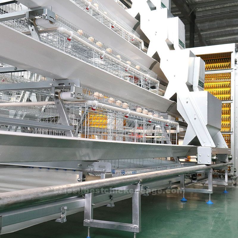Layer chicken cage chicken cage poultry cages Layer chicken cage chicken cage poultry cages