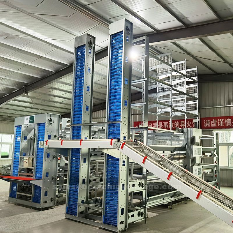 Do you know these of types of poultry cages of centralized management of laying hens and increasing egg production Do you know these of types of poultry cages of centralized management of laying hens and increasing egg production