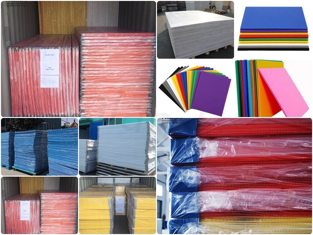 polypropylene sheet (2).jpg polypropylene sheet (2).jpg