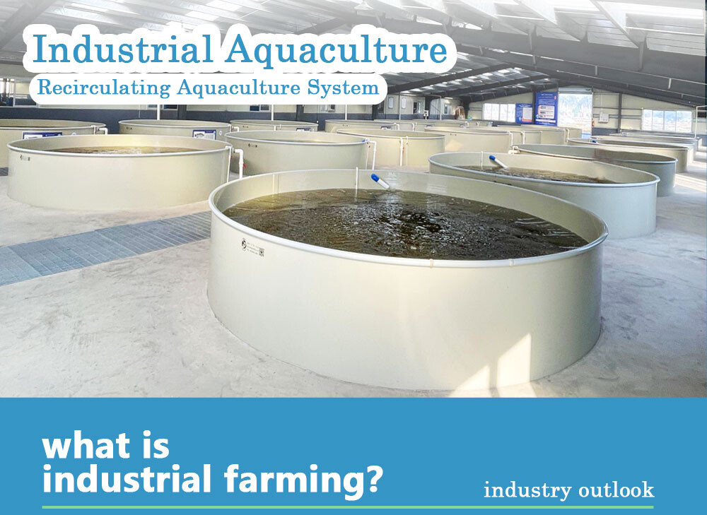 Other Aquaculture Equipment Fish Farm RAS Fish Farming System