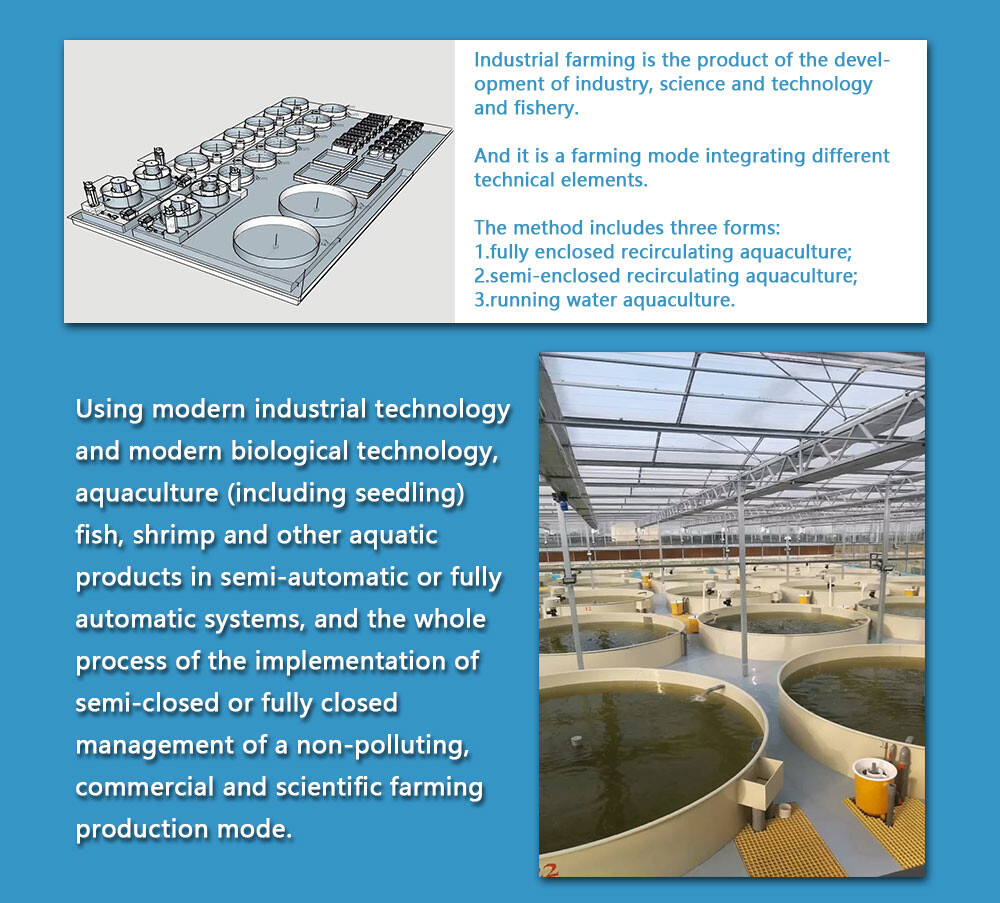 Other Aquaculture Equipment Fish Farm RAS Fish Farming System