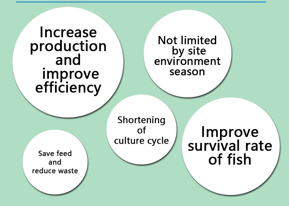 Other Aquaculture Equipment Fish Farm RAS Fish Farming System
